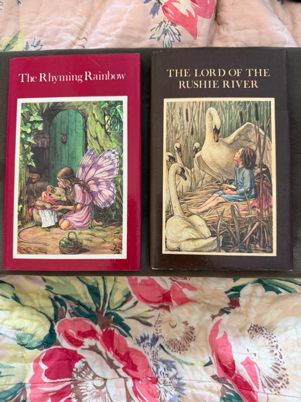 Cicely Mary Barker The Rhyming Rainbow & The Lord of the Rushie River book set